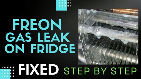 refrigerator leaking gas|How To Know If Your Refrigerator Is Leaking Freon